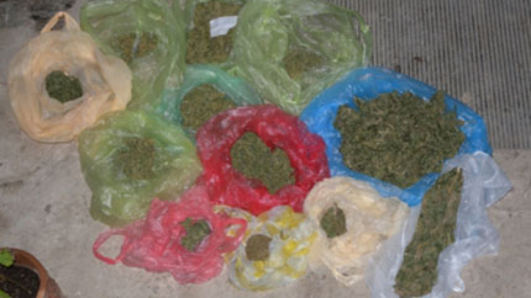 Изображение 101208