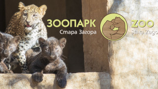 Три бебета са новите обитатели на Зоопарка в Стара