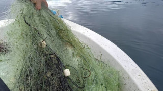 Проверки в различни водоеми из страната осъществиха контролните органи на