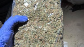 Столични полицаи откриха близо два килограма марихуана при допълнителни действия
