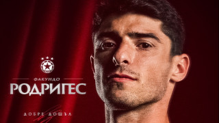 Изображение 753008