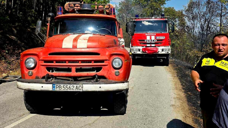 Изображение 733208