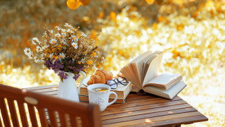 Щом захладнее и дните започнат да стават по кратки няма как