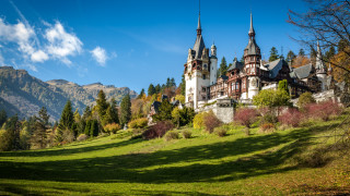 Доскоро нямаше лято през което да не откриете големи групи