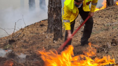 Овладян е горският пожар в Разложко