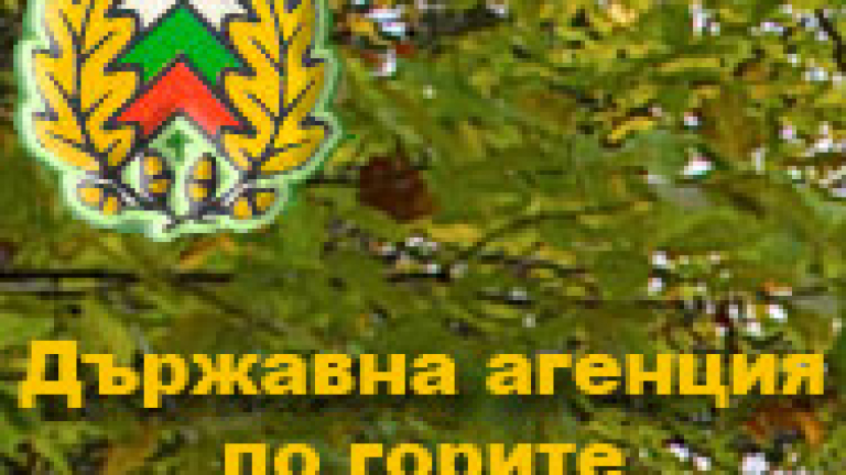 Изображение 34008