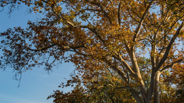 Есента напомня: Облаци над Западна България, но слънчево и ветровито по морето