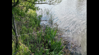 Служители на Изпълнителна агенция по рибарство и аквакултури в Бургас