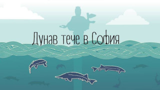 Дунав се пренася в София