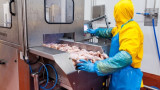 Производителят на птиче месо "Градус" прави най-големия борсов дебют от кризата насам