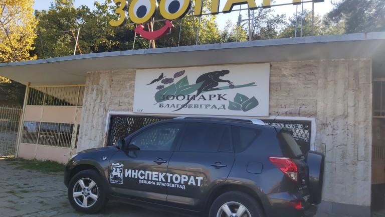 Девет сърни са били отровени в зоопарка в Благоевград, като