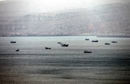 25 държави струпаха войска и кораби край Иран