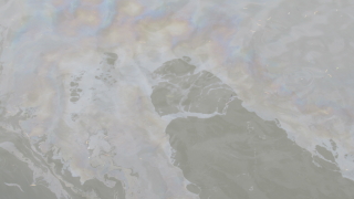 Проверяват разлив на мазут по варненското крайбрежие съобщава БНТ Сигналът е