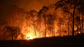 Пожар бушува край село Славе до Сандански съобщи bTV Горят