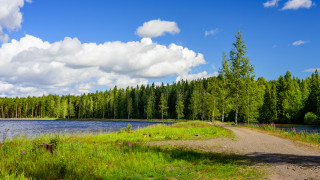 В Северна Русия до финландската граница археологически разкопки от патриотична
