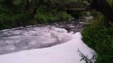  Бяла пяна покри река Струма в Перник 