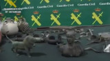 Връщат в България над 30 хил. антики, задържани след акция в Испания