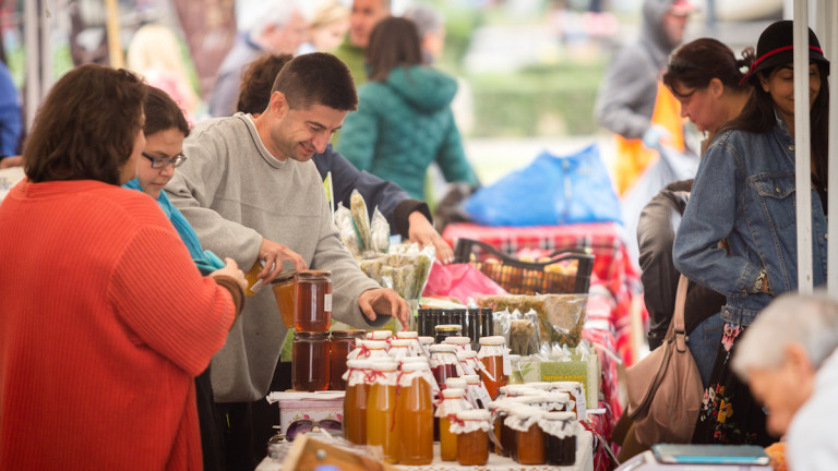 Изображение 419108