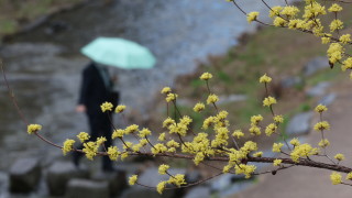 Предупреждение за бурен вятър в 8 области