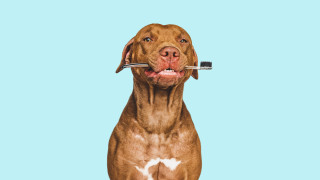 За много от нас да стигнем навреме на работа означава