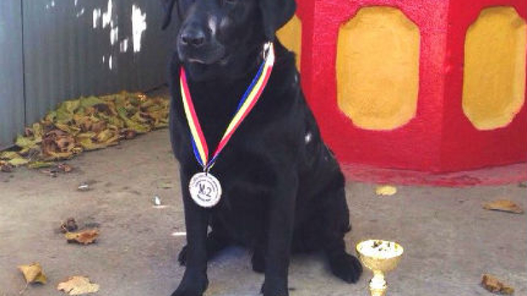 Изображение 210009