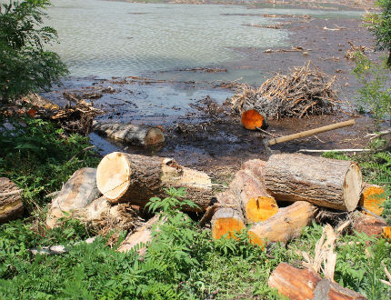 Недоволство в Кърджали заради сметки за кална вода