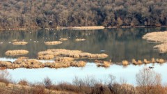 МОСВ обяви нова защитена зона край река Студена