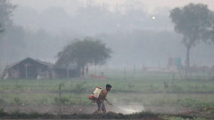 В Индия призовават дъжд, за да се справят с лошия въздух