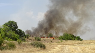 Над 12 са пожарите в Кюстендилско