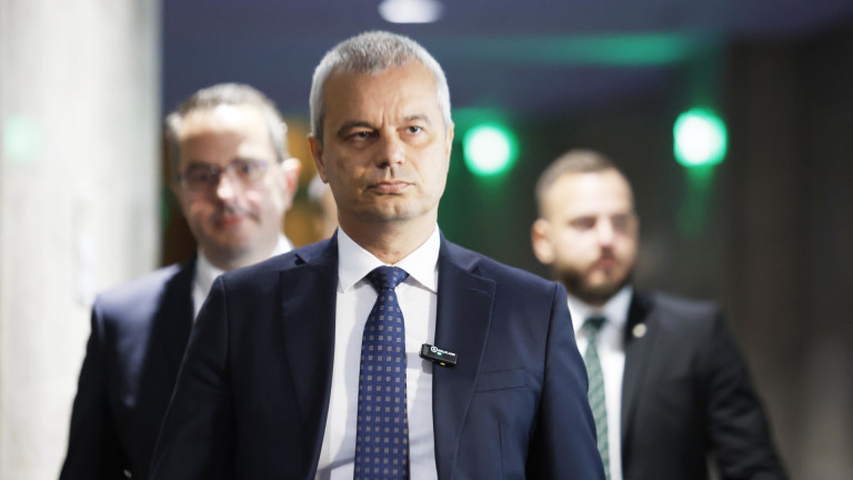 Костадин Костадинов: Дворцовата опозиция спи