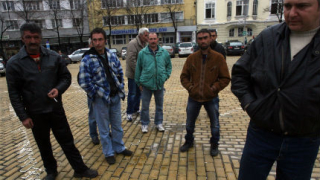 8 хиляди били заплашени да останат без работа в дърводобивния бранш