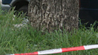 Полицай загина при катастрофа в Плевенско