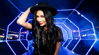 Никол Шерцингер може да не е изкарвала нова музика от