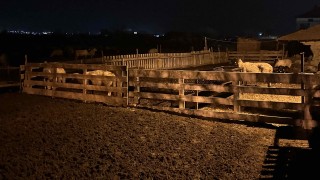 Недоверието на фермерите се е натрупало през годините Това каза