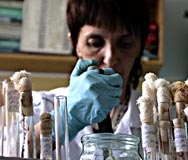 Почина 36-годишна жена, заразена с новия грип