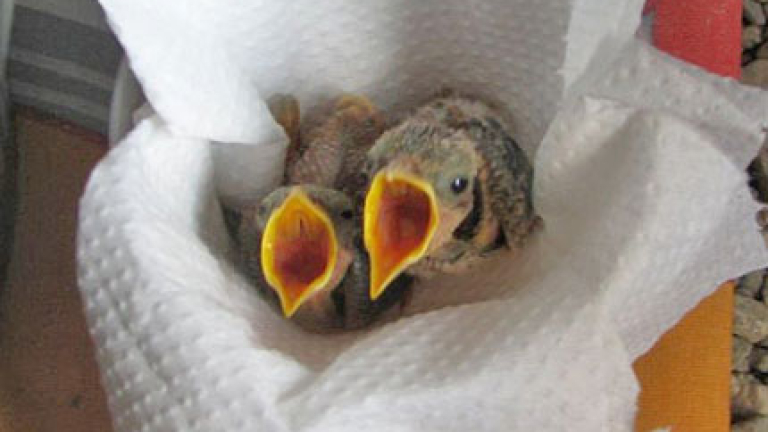 Изображение 83809