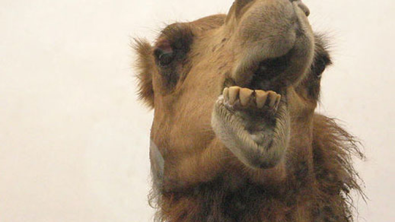 Изображение 44209