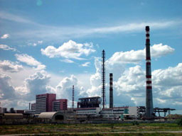 Групата "Инса" отчете 50% ръст в приходите за 2008 г.