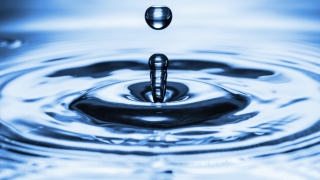 Отбелязваме Световния ден на водата