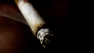 Европейците казват, че не искат да пушат