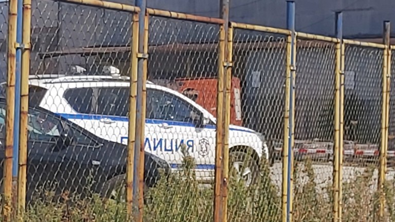 Изображение 495809