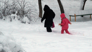 Санкционират снегопочистващи фирми в София 