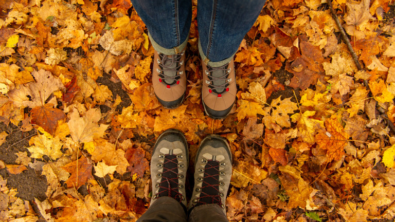 Изображение 596409