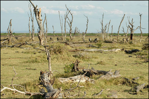 60 милиарда долара, които вещаят още мизерия