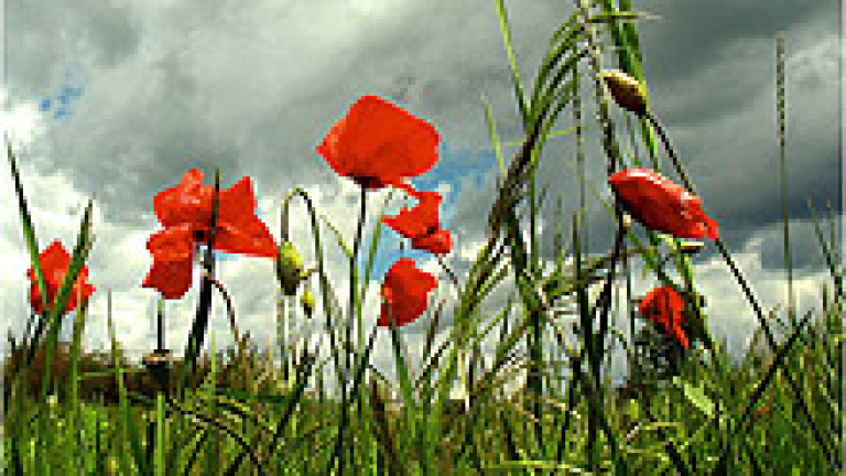 Изображение 7409