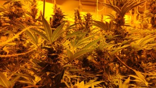 Окръжна прокуратура Шумен повдигна обвинение на баща и син