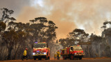 Армия и пожарникари заедно в битката срещу пожарите в Австралия