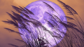 Август месец ни предлага няколко изумителни астрономически събития които можем