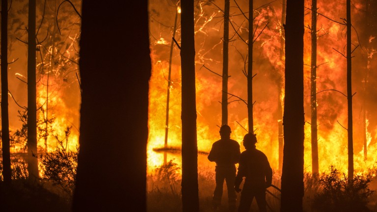 Изображение 318309