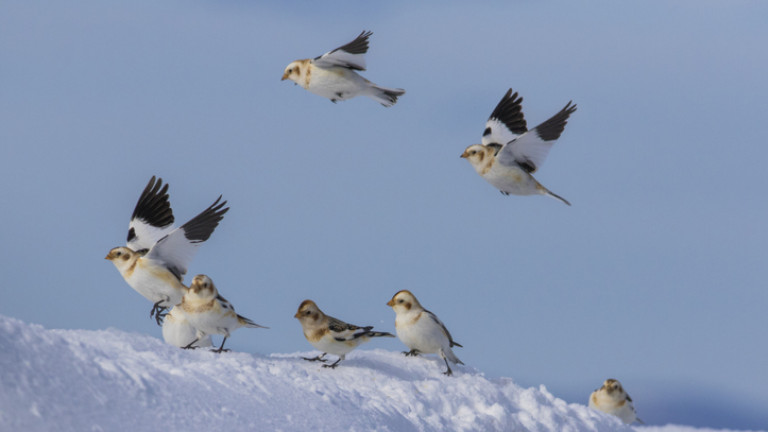 Изображение 388409